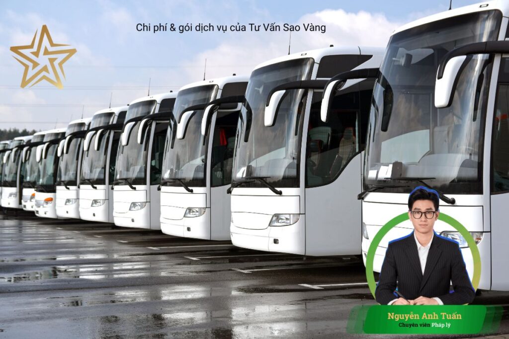 Chi phí & gói dịch vụ của Tư Vấn Sao Vàng Chi phí & gói dịch vụ của Tư Vấn Sao Vàng