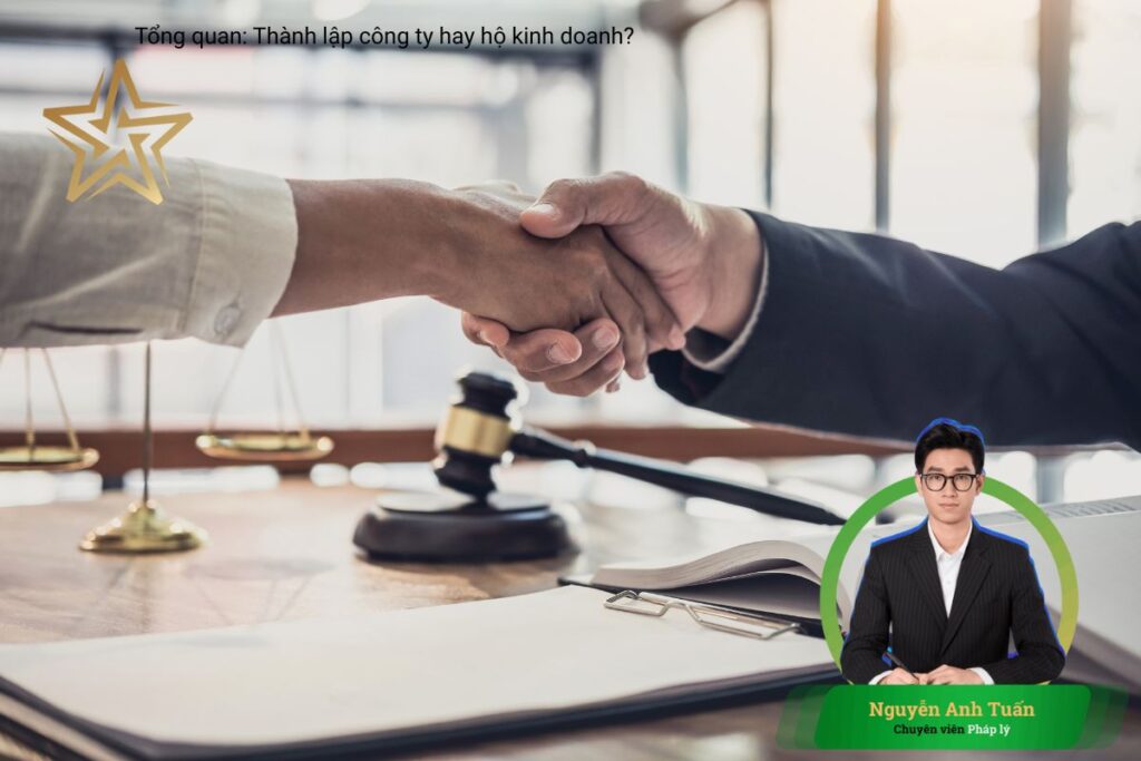 II. Tổng quan: Thành lập công ty hay hộ kinh doanh? II. Tổng quan: Thành lập công ty hay hộ kinh doanh?